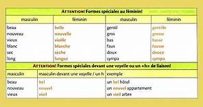 Masculin, féminin, singulier, pluriel - Grammaire française