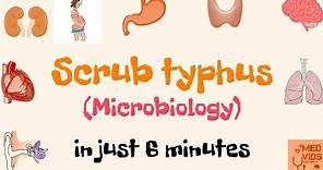 Scrub typhus | Microbiology | Med Vids Made Simple