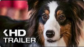 SHOW DOGS Trailer German Deutsch (2018)