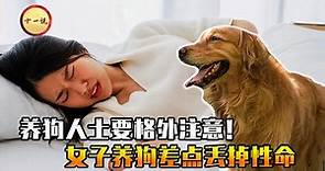 单身女性为啥喜欢养狗？女子和狗同吃同睡，半夜肚疼差点酿成大祸