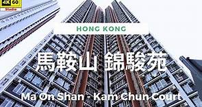 馬鞍山 錦駿苑 4K | Ma On Shan - Kam Chun Court | DJI Pocket 2 | 2023.10.11