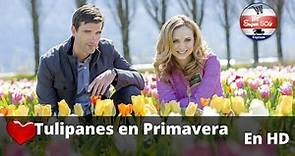 Tulipanes en Primavera / Peliculas Completas en Español / Navidad / Romance / Drama