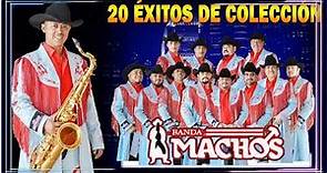 Banda Machos Puros Exitos de Oro || 50 Mejores Canciones Total Éxitos de Banda Machos