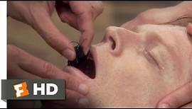 Anaconda (3/8) Movie CLIP - The Deadly Wasp (1997) HD