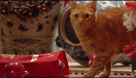 DREAMIES Katzensnacks Weihnachten 2016