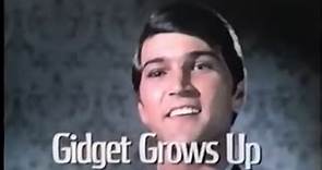 Gidget Grows Up (Promo) - ABC Movie of the Week - 1969