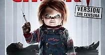 El culto de Chucky - película: Ver online en español