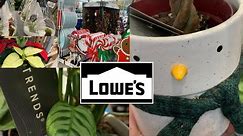 Shop Lowe’s Wintry Houseplants!🪴