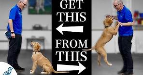 Teach Your Dog To Stop Jumping Up In 4 Simple Steps!