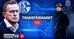 TM LIVE: Schalke: Mit Rangnick zurück zu alter Stärke? – Wer wird Löw-Nachfolger? | TRANSFERMARKT