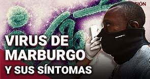 VIRUS DE MARBURGO: ¿Qué es, SÍNTOMAS y cómo se contagia la enfermedad igual de mortal que el ÉBOLA?