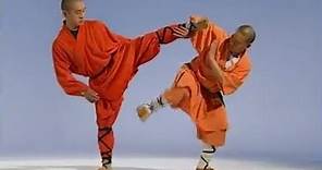 Shaolin Kung Fu: 18 fight techniques