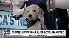 Farmer’s Dog captures hearts with Super Bowl ad