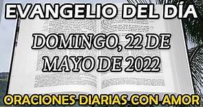 Evangelio de hoy Domingo, 22 de Mayo de 2022 - El Espíritu Santo se los recordará