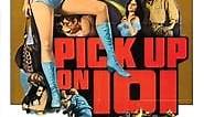 Pickup on 101 (1972) - AZ Movies