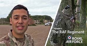 The RAF Regiment
