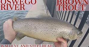 Fishing the Oswego River Catching Brown Trout, Rainbow Trout, Steelhead and Walleye