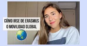Cómo irse de Erasmus ✈️ (cuánto cuesta, becas, idiomas...)