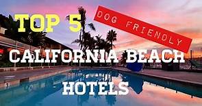 Top 5 Best Dog Friendly Beach Hotels In California