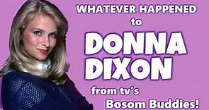 Whatever Happened To DONNA DIXON from tv's BOSOM BUDDIES?