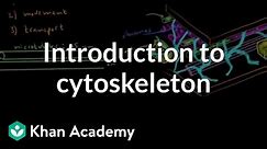 Introduction to cytoskeleton | Cells | MCAT | Khan Academy