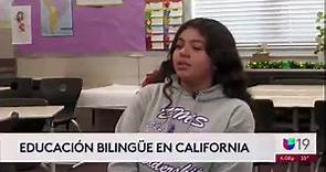 Programas de educación bilingüe disponibles en California