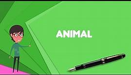 What is Animal? Explain Animal, Define Animal, Meaning of Animal
