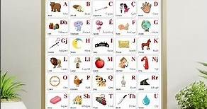 Albanian Alphabet Poster 16 x 20 inch Chart with Words and English Translations, Albanian