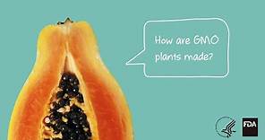 Agricultural Biotechnology: How Are GMO Plants Made?