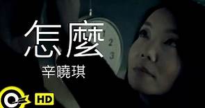 辛曉琪 Winnie Hsin【怎麼 What’s wrong】Official Music Video