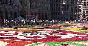 The Flower Carpet | Grand Place Brussels