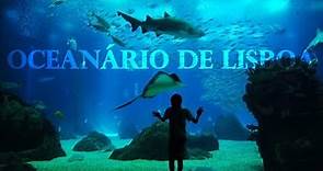 Lisbon Sea Aquarium, Portugal, Full Tour in 4K !
