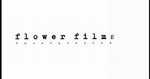 The Curiosity Company/Flower Films/Fox Television Studios (1999)
