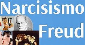 Freud, El Narcisismo