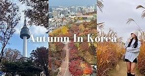 美到落淚！韓國秋天必去的兩個景點🍁南山Ｎ首爾塔＆天空公園交通攻略＆票價？｜#韓國自助旅行