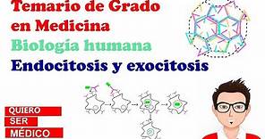 ENDOCITOSIS Y EXOCITOSIS. Clatrina, caveolas, COPI y COPII, macropinocitosis | Biología humana