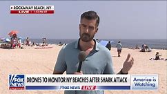 Drones to monitor NY beaches after rare shark attack