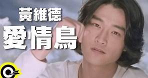 黃維德 Victor Huang【愛情鳥】Official Music Video