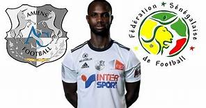 Moussa Konaté ● Goals, Assists ● Amiens SC ● 2017/2018
