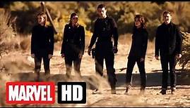 AGENTS OF S.H.I.E.L.D. - Die komplette erste Staffel auf DVD und Blu-Ray - MARVEL HD