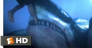 3 Headed Shark Attack (5/10) Movie CLIP - Shark vs. Party Boat (2015) HD