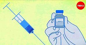 TED演讲：为何新冠疫苗能如此快速的研制出来？
