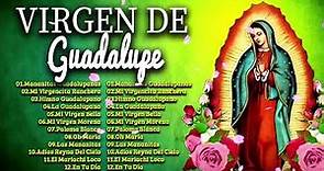 Alabanzas a la Virgen de GuadalupeðŸ™ðŸ’ 40 Cantos A La Virgen De Guadalupe - La Virgen De Guadalupe