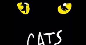 Cats the naming of cats (Original Broadway cast)
