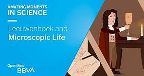Leeuwenhoek and Microscopic Life | AMS OpenMind