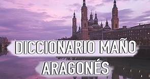 ASI HABLAMOS EN ARAGÓN. DICCIONARIO MAÑO - ARAGONÉS