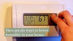 6 Ways to Lower Humidity in Your Home, According to the Experts