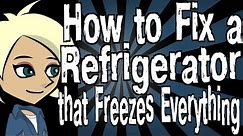 How to Fix a Refrigerator that Freezes Everything