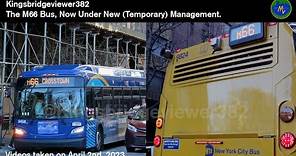 MTA New York City Bus: The M66 Bus, Now Under New (Temporary) Management.
