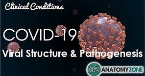 Coronavirus COVID-19 | Viral Structure & Pathogenesis